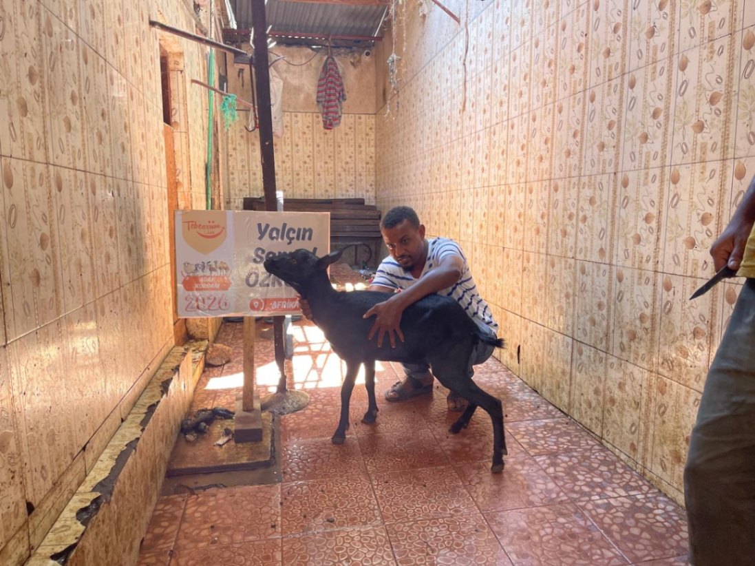 Nadhir Meat Distribution in Kisauni - ( yalcin )